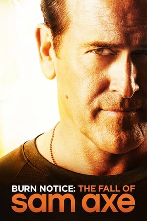 Image Burn Notice: The Fall of Sam Axe