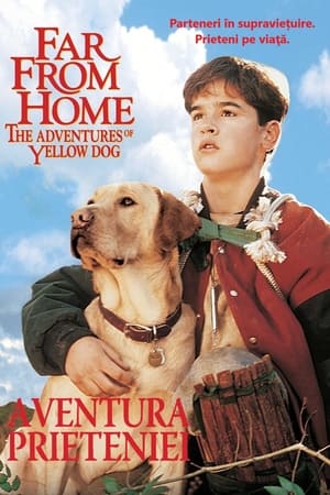 Image Far from Home: The Adventures of Yellow Dog