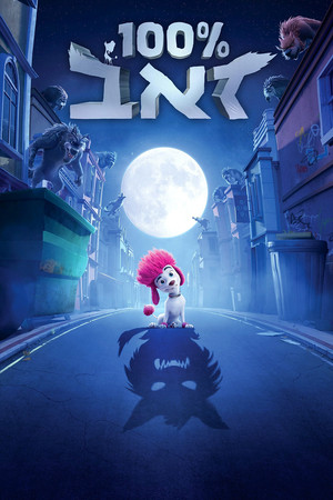 <Images posters