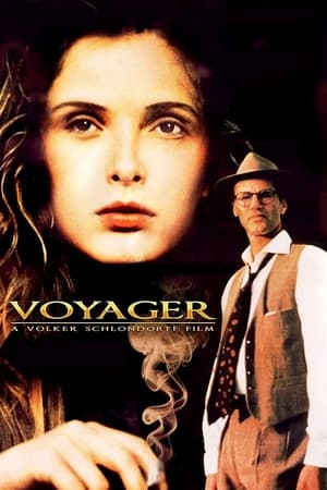 Poster Voyager 1991