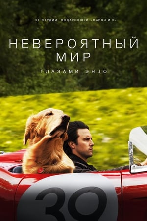 Poster Невероятный мир глазами Энцо 2019