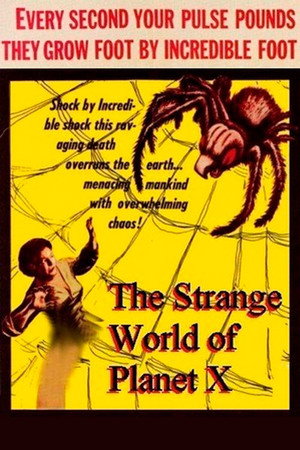 <Images posters