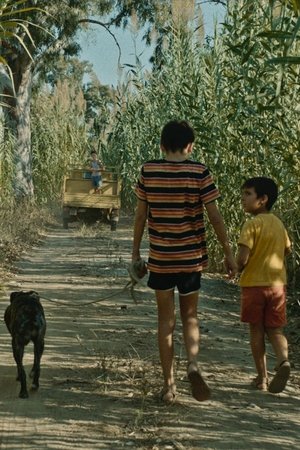The Dog Is My Dog (2025)