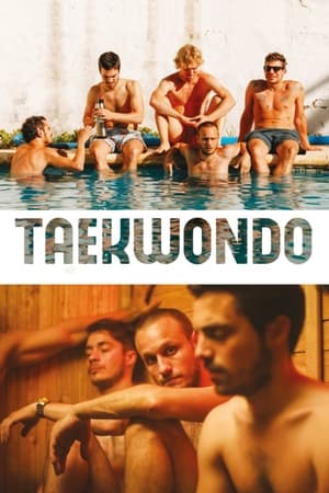 Taekwondo 2016