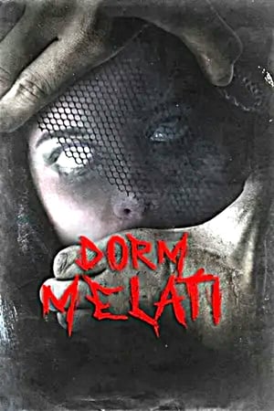 Poster Dorm Melati 2017