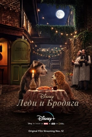 Poster Леди и Бродяга 2019