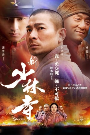 Poster 新少林寺 2011