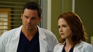 Grey’s Anatomy Season 12 Episode 22