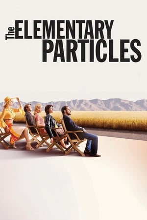 Image The Elementary Particles