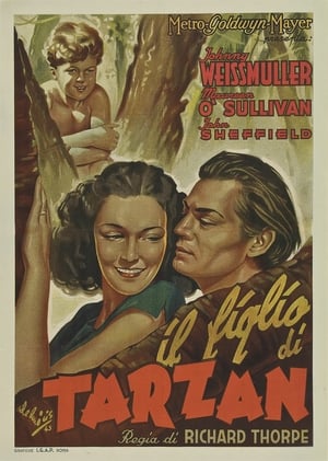 Poster Il figlio di Tarzan 1939