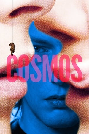 Poster Cosmos 2015