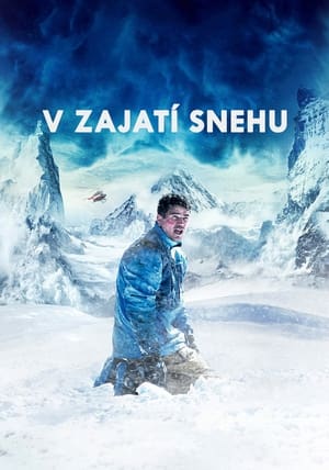 Image V zajatí snehu