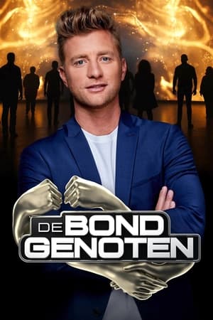 Watch De Bondgenoten Full Movie