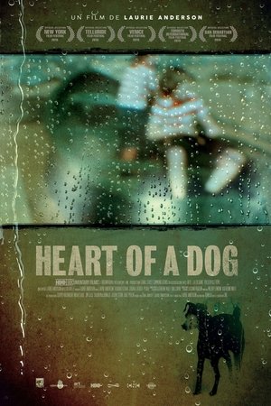 Télécharger Heart of a Dog ou regarder en streaming Torrent magnet 