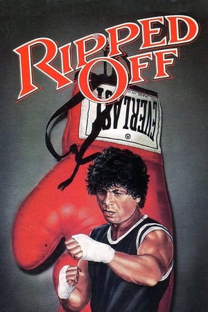 Poster The Boxer 1972