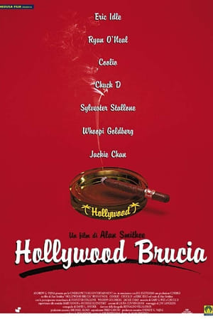 Image Hollywood brucia