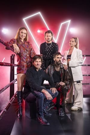 Image The Voice van Vlaanderen