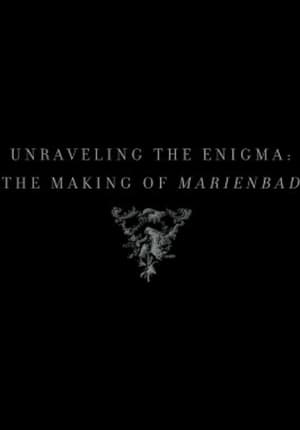 Image Unraveling the Enigma: The Making of Marienbad