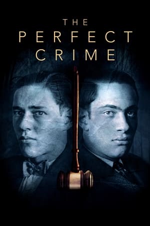 Poster The Perfect Crime: Leopold & Loeb 2016