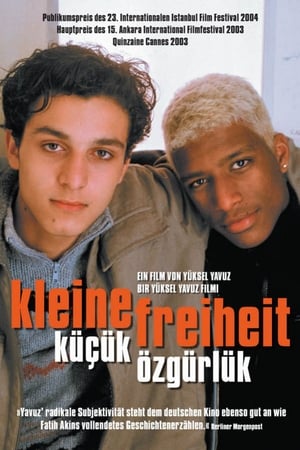 Poster Kleine Freiheit 2003