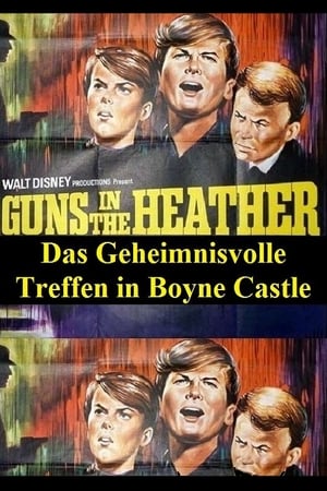 Image Das geheimnisvolle Treffen in Boyne Castle