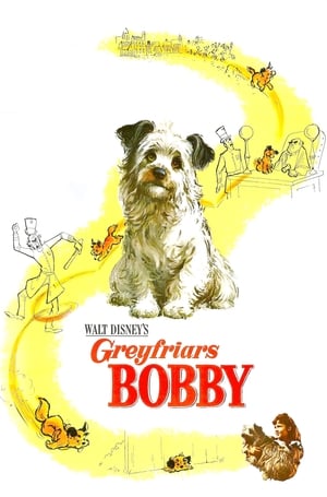 Poster Greyfriars Bobby: The True Story of a Dog 1961