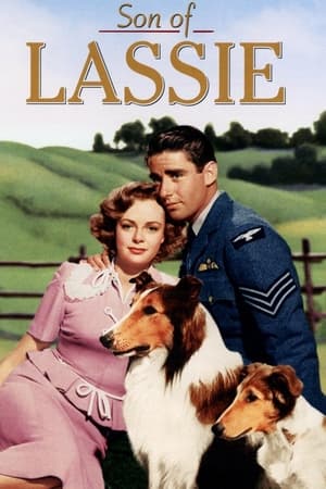 Son of Lassie 1945