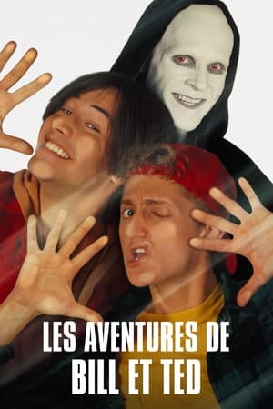 Télécharger Les aventures de Bill et Ted ou regarder en streaming Torrent magnet 