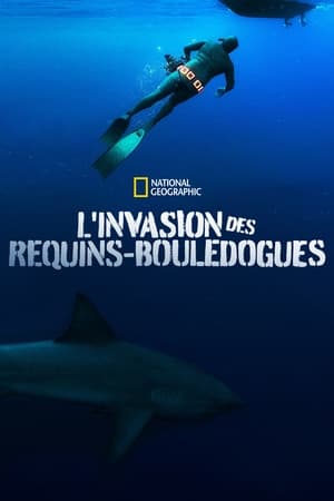 Télécharger L'invasion des requins-bouledogues ou regarder en streaming Torrent magnet 