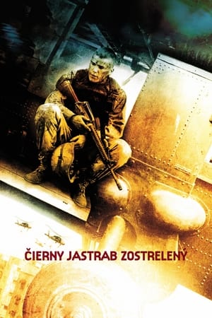 Čierny jastrab zostrelený 2001