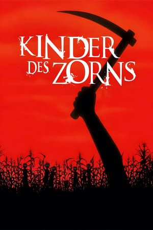 Image Kinder des Zorns