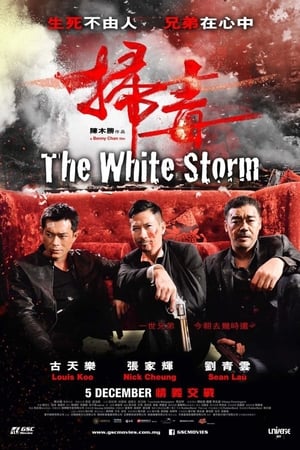 Poster The White Storm 2013