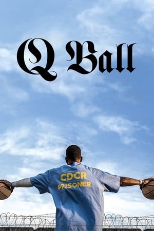 Q Ball 2019