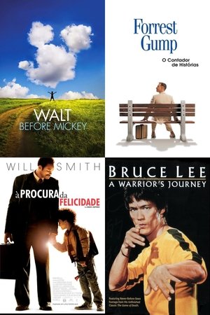 filmes-motivacionais-para-concurso poster