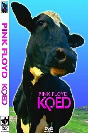 Image Pink Floyd ‎– KQED