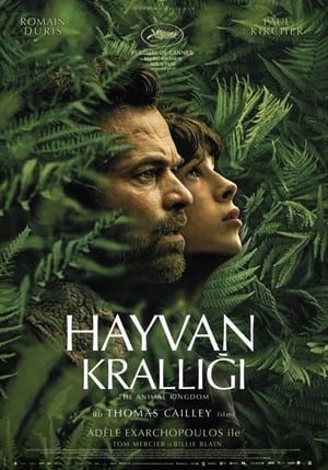 Image Hayvan Krallığı