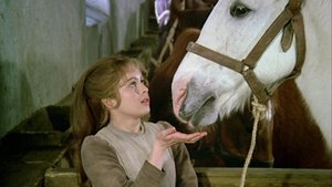 مشاهدة فيلم Three Wishes for Cinderella 1973