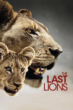 Poster The Last Lions 2011