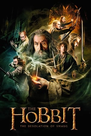 Poster The Hobbit: The Desolation of Smaug 2013