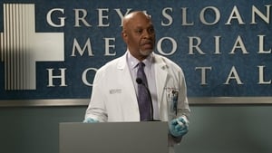 Grey’s Anatomy Season 14 Episode 20