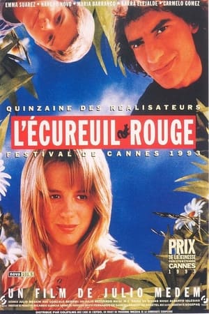 L'écureuil rouge 1993