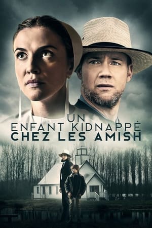 Télécharger Un enfant kidnappé chez les Amish ou regarder en streaming Torrent magnet 