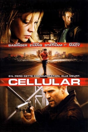 Poster Cellular 2004