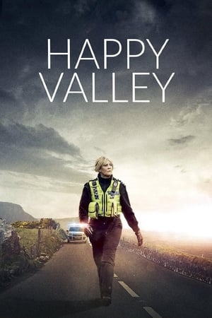 Poster Happy Valley 2014