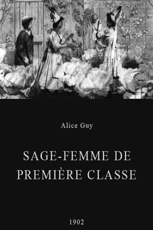 Télécharger Sage-femme de première classe ou regarder en streaming Torrent magnet 