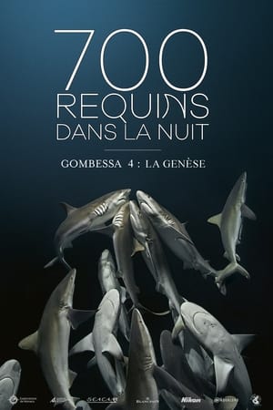 Image 700 requins dans la nuit  (Gombessa 4, la genèse)