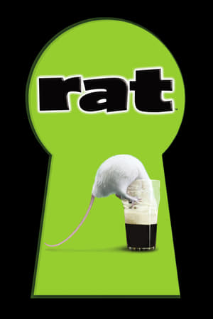 Rat 2001