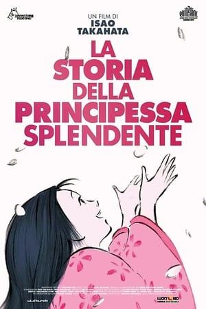 Poster La storia della principessa splendente 2013