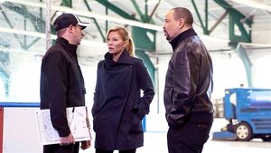 Law & Order: Special Victims Unit Season 18 :Episode 11  Great Expectations