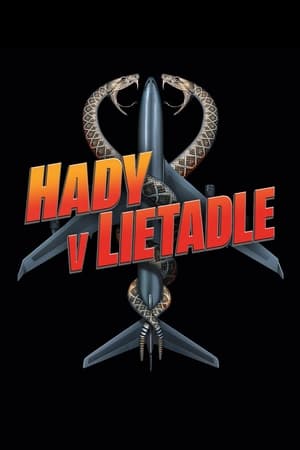 Image Hady v lietadle